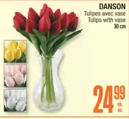Jean Coutu DANSON Tulips with vase offer