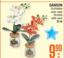 Jean Coutu Orchids with vase offer