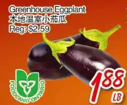 Foody Mart Greenhouse Eggplant offer