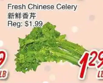 Foody Mart FRESH CHINESE CELERY offer