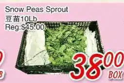 Foody Mart Snow Peas Sprout offer