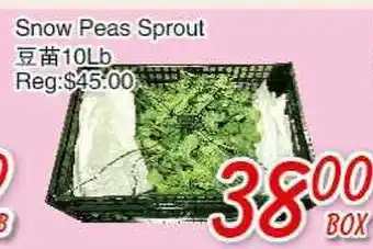 Foody Mart Snow Peas Sprout offer