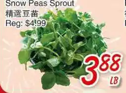 Foody Mart Snow Peas Sprout offer
