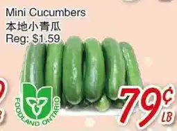 Foody Mart Mini Cucumbers offer