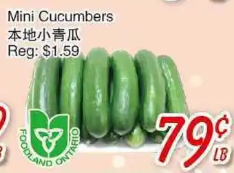 Foody Mart Mini Cucumbers offer