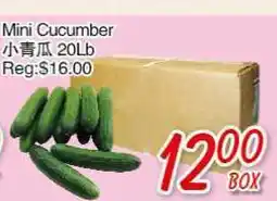 Foody Mart Mini Cucumber offer