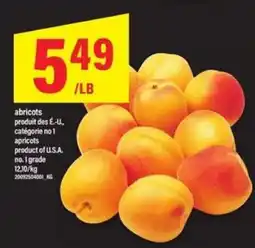 Maxi apricots offer