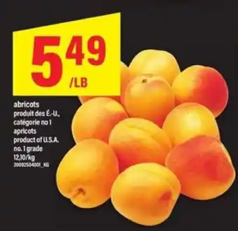 Maxi apricots offer
