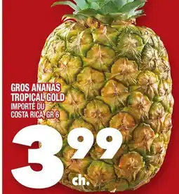 Marche Ami GROS ANANAS TROPICAL GOLD offer
