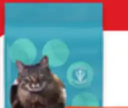 Walmart IAMS Dry Cat Food offer