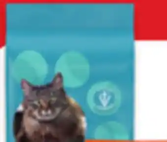 Walmart IAMS Dry Cat Food offer