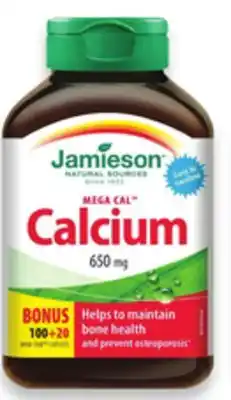 Walmart Jamieson Gentle Iron 90s or Calcium 120s offer