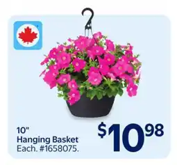 Walmart 10 Hanging Basket offer