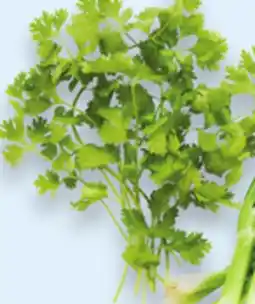 Walmart Cilantro offer