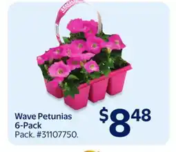 Walmart Wave Petunias 6-Pack offer