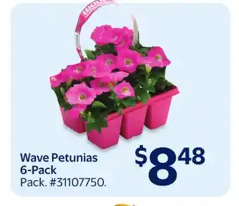 Walmart Wave Petunias 6-Pack offer