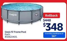 Walmart Oasis 15' Frame Pool offer