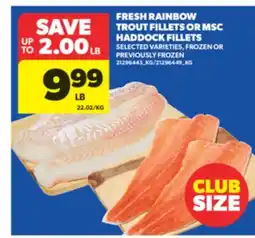 Real Canadian Superstore FRESH RAINBOW TROUT FILLETS OR MSC HADDOCK FILLETS offer