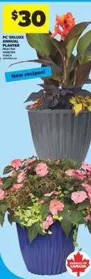 Real Canadian Superstore PC DELUXE ANNUAL PLANTER, 11 INCH offer