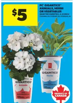 Real Canadian Superstore PC GIGANTICO ANNUALS, HERBS OR VEGETABLES, 4.33 INCH offer
