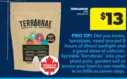 Real Canadian Superstore TERRABRAE, 2 KG offer