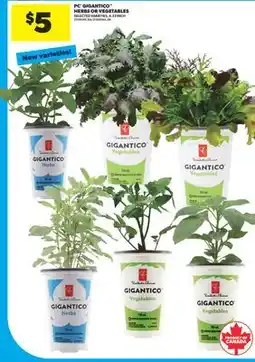Real Canadian Superstore PC GIGANTICO HERBS OR VEGETABLES, , 4.33 INCH offer