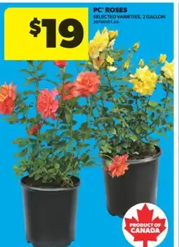 Real Canadian Superstore PC ROSES offer