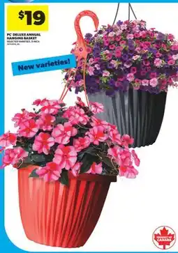 Real Canadian Superstore PC DELUXE ANNUAL HANGING BASKET, 11 INCH offer