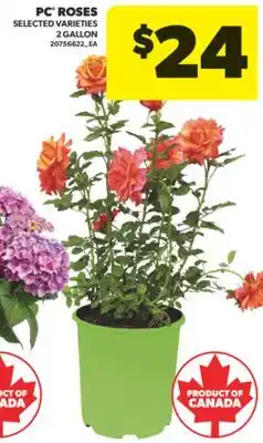 Real Canadian Superstore PC ROSES, 2 GALLON offer