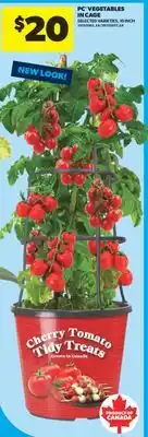 Real Canadian Superstore PC VEGETABLES IN CAGE, 10 INCH offer