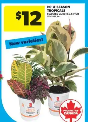 Real Canadian Superstore PC 4-SEASON TROPICALS, 6 INCH offer
