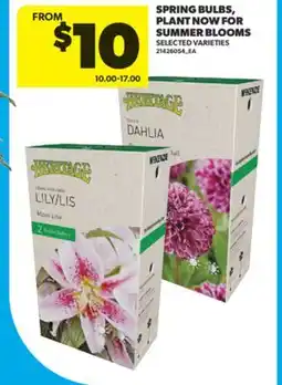 Real Canadian Superstore SPRING BULBS, PLANT NOW FOR SUMMER BLOOMS offer