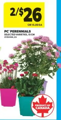 Real Canadian Superstore PC PERENNIALS, 15 CM offer