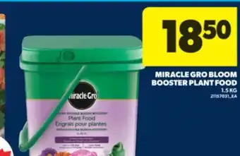 Real Canadian Superstore MIRACLE GRO BLOOM BOOSTER PLANT FOOD, 1.5 KG offer