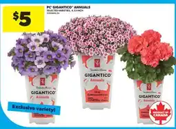 Real Canadian Superstore PC GIGANTICO ANNUALS, 4.33 INCH offer