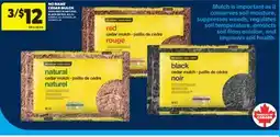 Real Canadian Superstore NO NAME CEDAR MULCH, 42.5 L offer