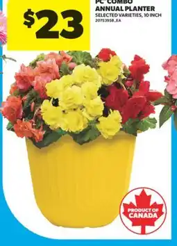 Real Canadian Superstore PC COMBO ANNUAL PLANTER, 10 INCH offer