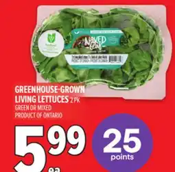 Metro GREENHOUSE-GROWN LIVING LETTUCES offer