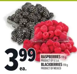 Metro RASPBERRIES OR BLACKBERRIES offer