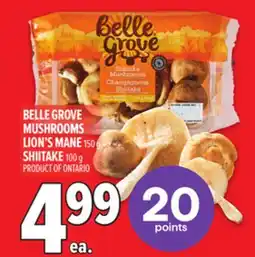 Metro BELLE GROVE MUSHROOMS LION'S MANE offer