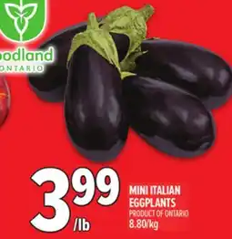 Metro MINI ITALIAN EGGPLANTS offer