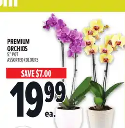 Metro PREMIUM ORCHIDS offer