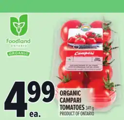 Metro ORGANIC CAMPARI TOMATOES offer