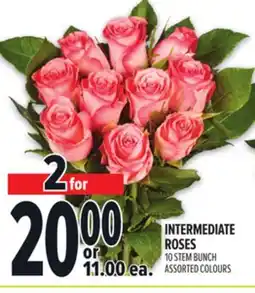 Metro INTERMEDIATE ROSES 10 STEM BUNCH offer
