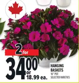 Metro HANGING BASKETS offer