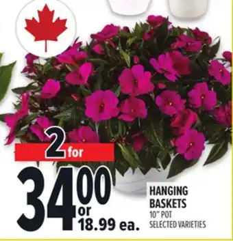 Metro HANGING BASKETS offer