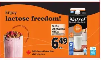 Metro NATREL LACTOSE FREE MILK offer