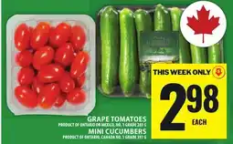 Food Basics GRAPE TOMATOES OR MINI CUCUMBERS offer