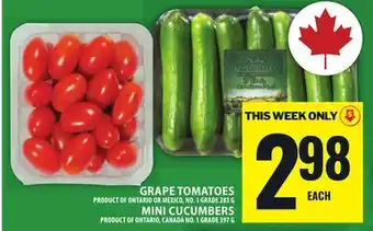 Food Basics GRAPE TOMATOES OR MINI CUCUMBERS offer