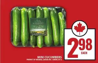 Food Basics MINI CUCUMBERS offer